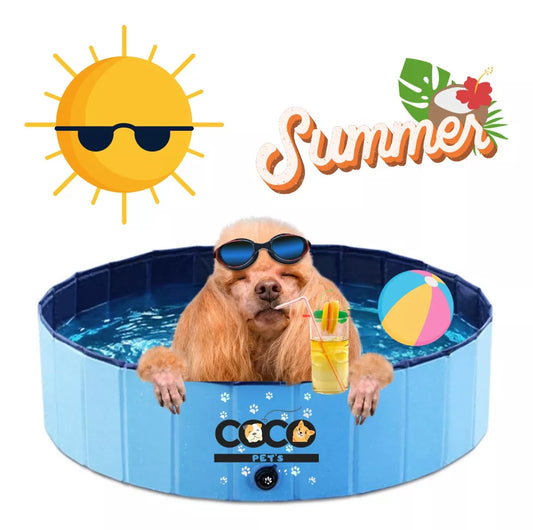 Piscina Plegable Para Mascotas Verano